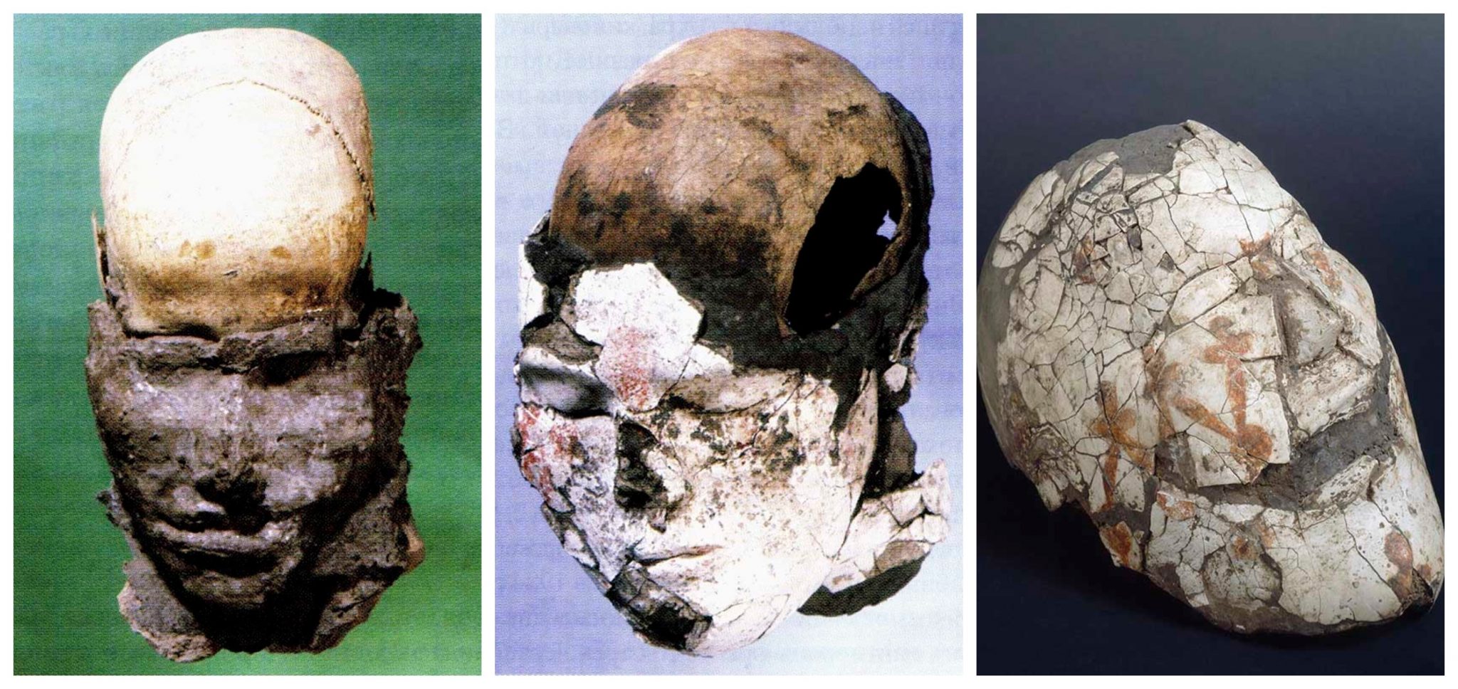 Os rostos moldados nos crânios eram frequentemente cobertos com uma fina camada de gesso pintada com ornamentos.
